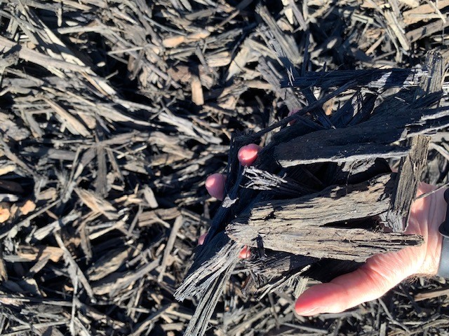 Aquamor™ Mulch - Image 2